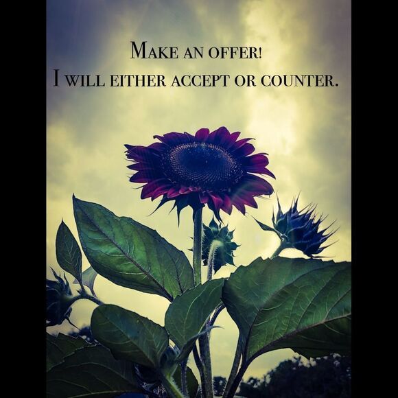 NWT Pencil Skirt Black Professional - Picture 4 of 4